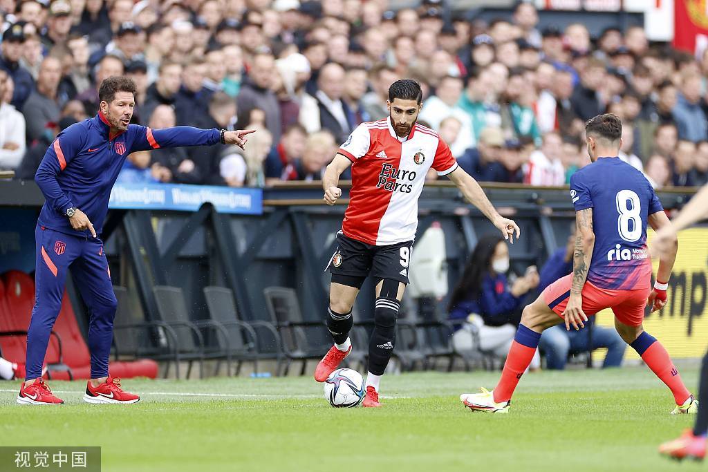 纷发布动态 纷发布动态