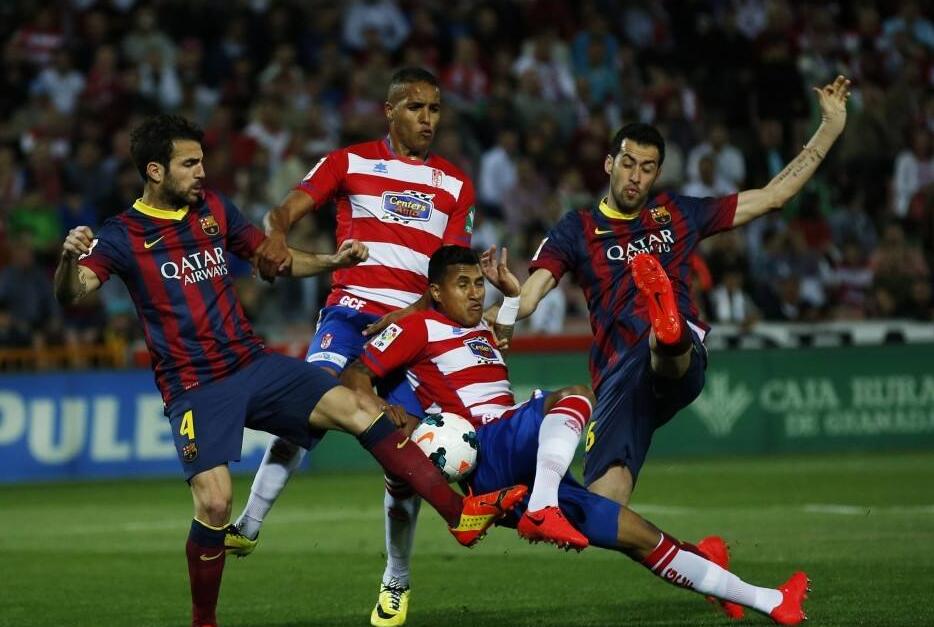 解释了为何 解释了为何